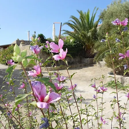 Vacanze Margherita *