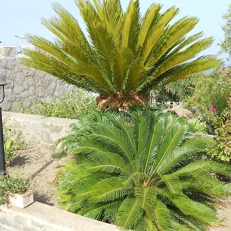 Vacanze Margherita Appartement