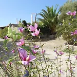 Vacanze Margherita *