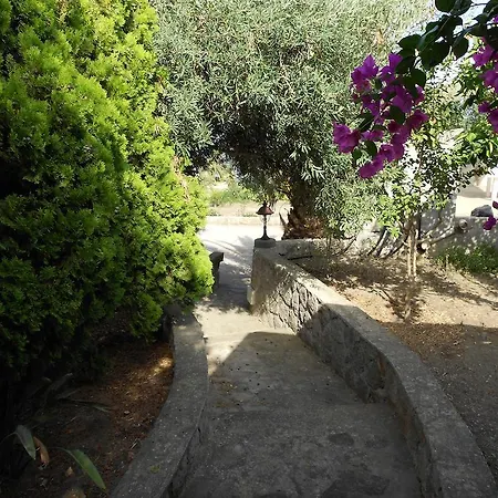 Vacanze Margherita Lejlighed